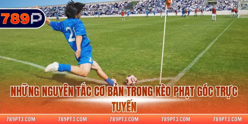 Những nguyên tắc cơ bản trong kèo phạt góc trực tuyến